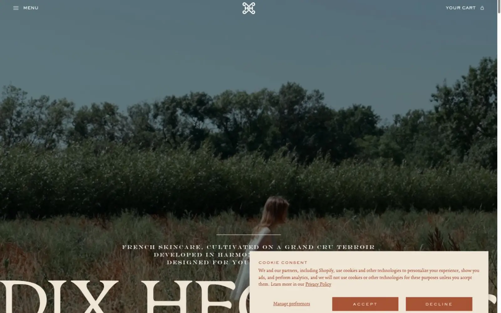Preview of the Dix Hectares destination website